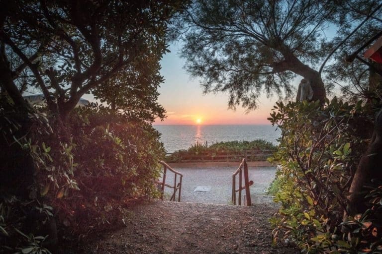 TRAMONTO compressed 1024x683 1 768x512