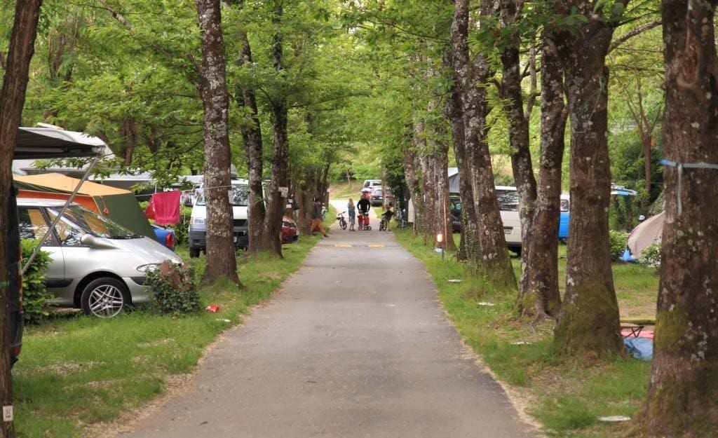 camping ardeche actinidias 2016 002