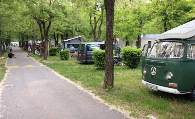 camping ardeche actinidias 2016 003 768x469