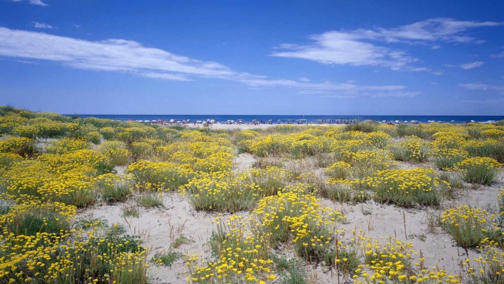 Spiaggia camucioli 1024x576 1