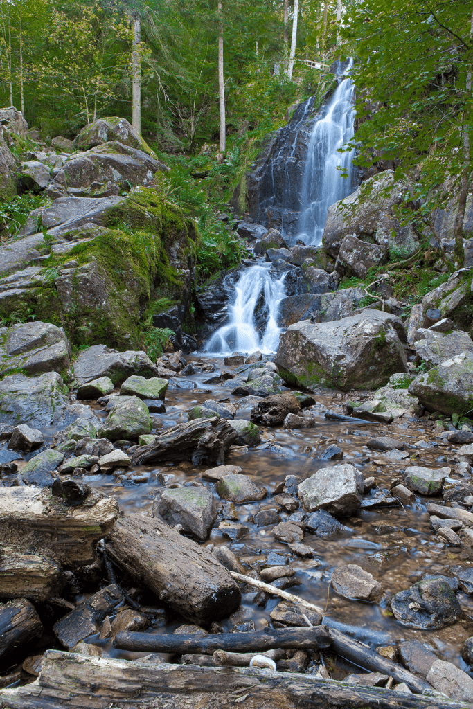 cascade tendon2 683x1024