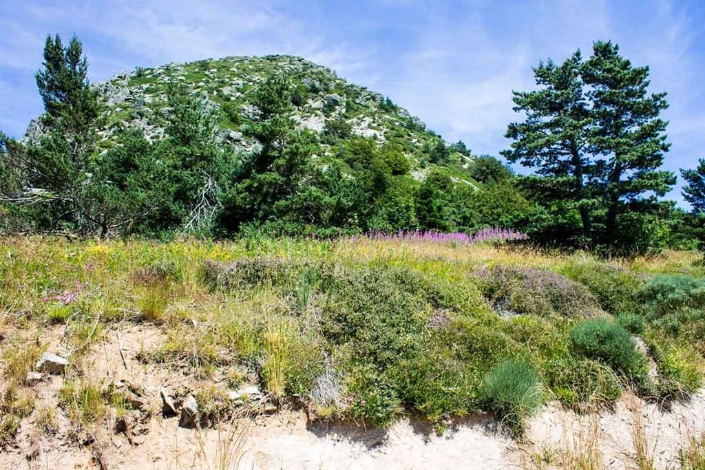 mont gerbier de jonc 1024x683