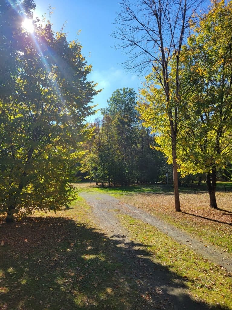Photo4 768x1024