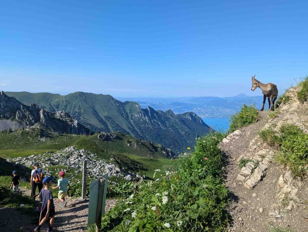 camping lac leman 2024 0008 1024x771