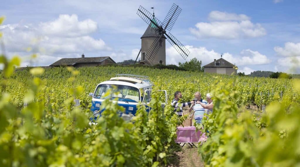 camping beaujolais vignes 1024x573
